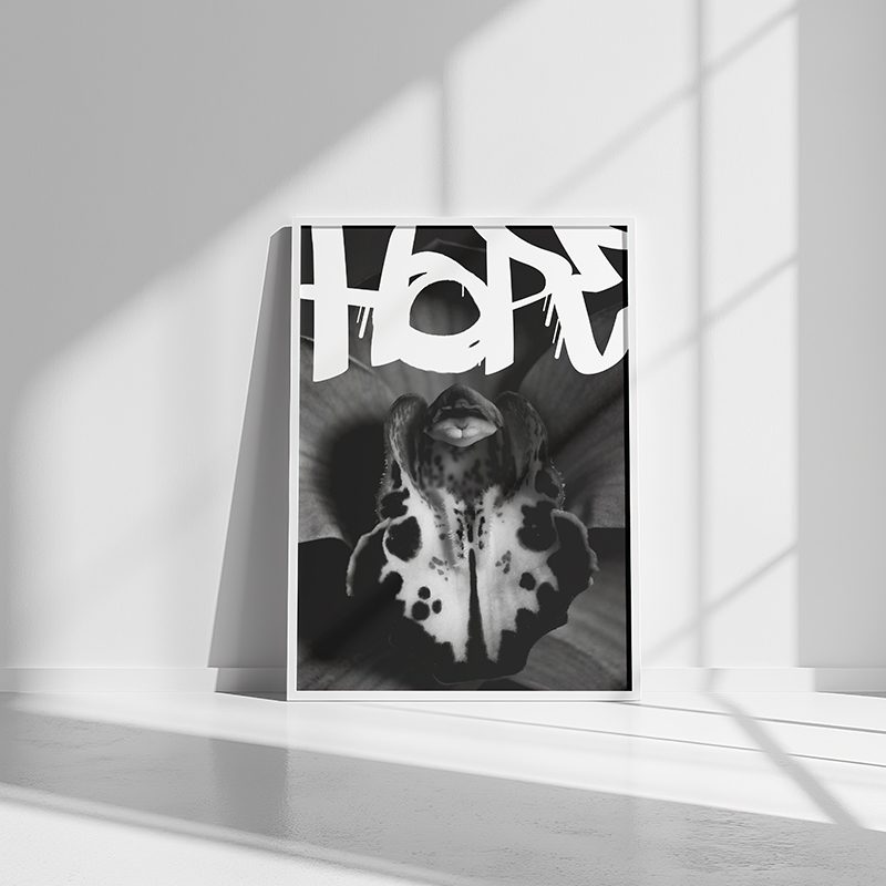 HOPE Graffiti Orchid Print | Black & White Urban Botanical Art